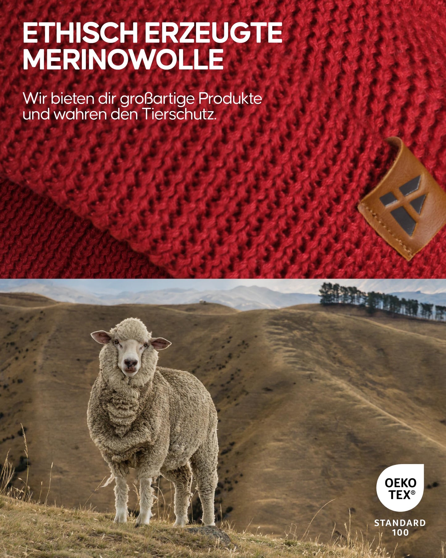 DANISH ENDURANCE Merino Mütze, Klassische Wollmütze, Warme Wintermütze, für Winter & Herbst, Weich, Stretchy, für Damen & Herren, Rot, One Size